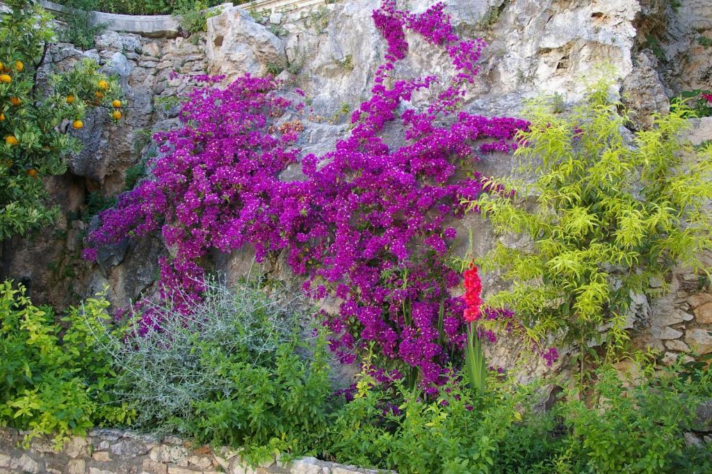 Hotel Villa Clodia Saturnia Exterior photo